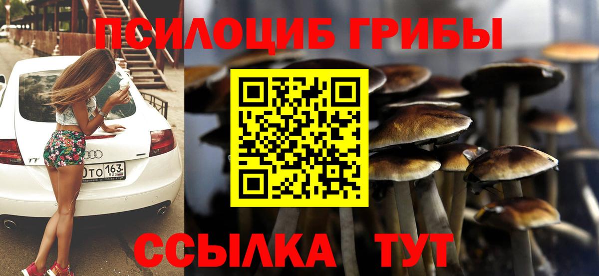 Псилоцибиновые грибы Magic Shrooms  Вход с VPN  Городец  где купить наркотик  Псилоцибиновые грибы Psilocybine cubensis 
