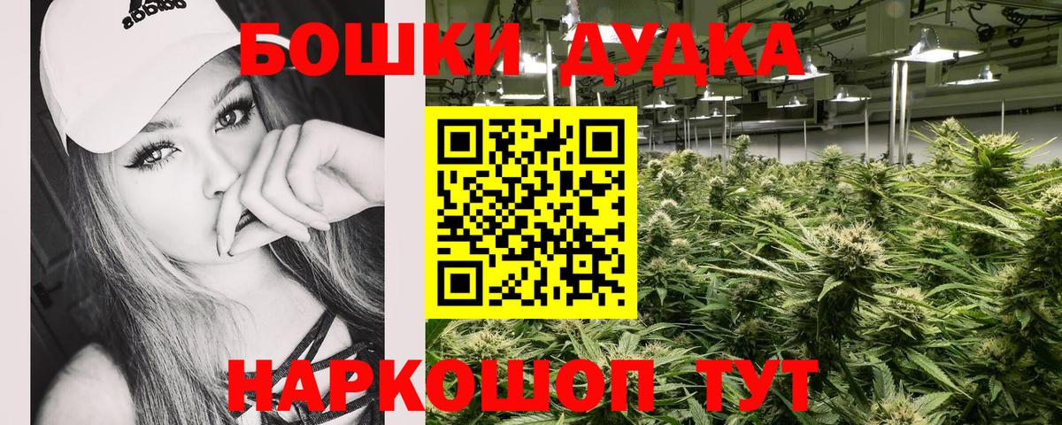 Бошки Шишки ГИДРОПОН Городец